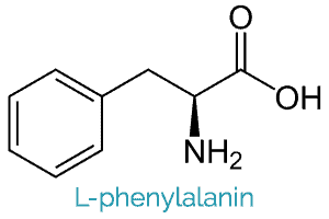The chemical structure of the L-phenylalanin supplement