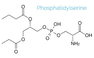Phosphatidylserine pills structure